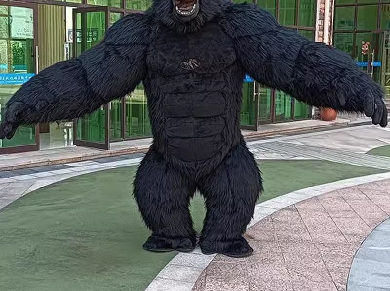 Real Life Inflatable Gorilla C - Anime Cosplay Real Life incelemesi ve fiyatı