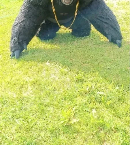 Christmas Real Life Inflatable - Anime Cosplay Real Life incelemesi ve fiyatı