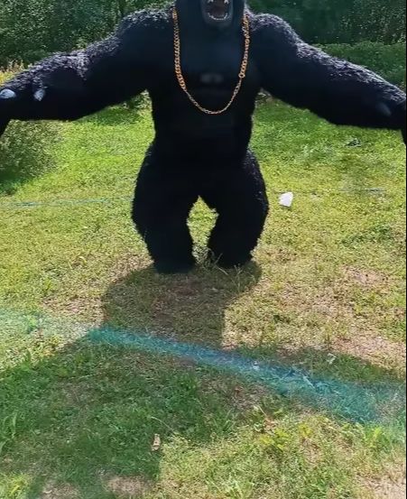 Real Life Inflatable Gorilla C - Anime Cosplay Real Life incelemesi ve fiyatı