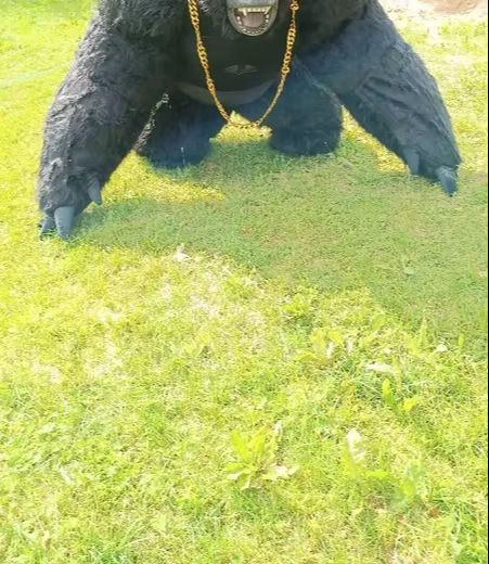 Real Life Inflatable Gorilla C - Anime Cosplay Real Life incelemesi ve fiyatı