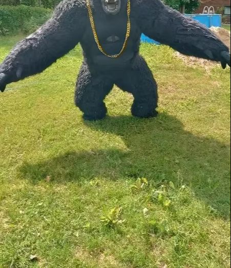 Real Life Inflatable Gorilla C - Anime Cosplay Real Life incelemesi ve fiyatı